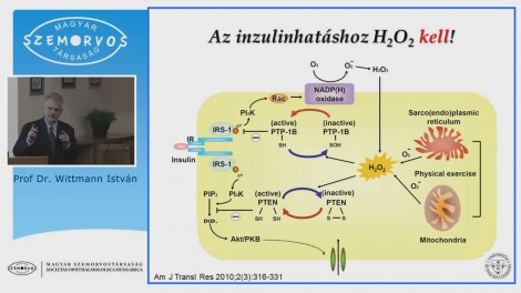 Új trendek a diabetes mellitus diagnosztikájában és kezelésében