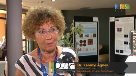 Továbbképzés elméletben és gyakorlatban